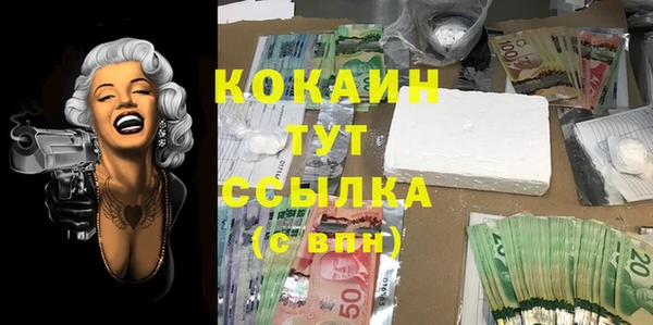 хмурый Алексин