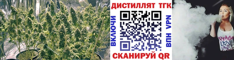 Дистиллят ТГК THC oil  Петровск 