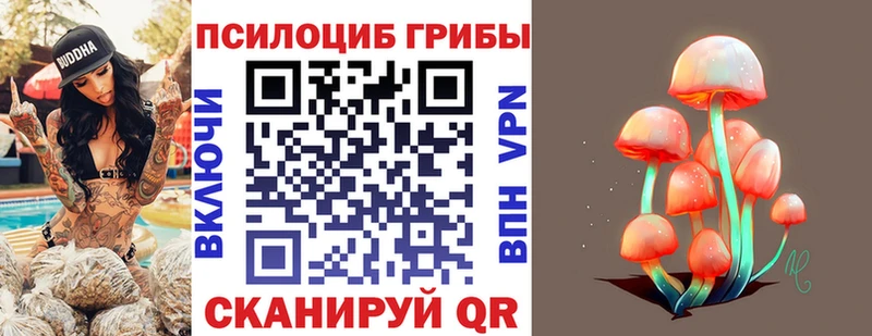 Псилоцибиновые грибы ЛСД  где купить наркоту  Петровск 